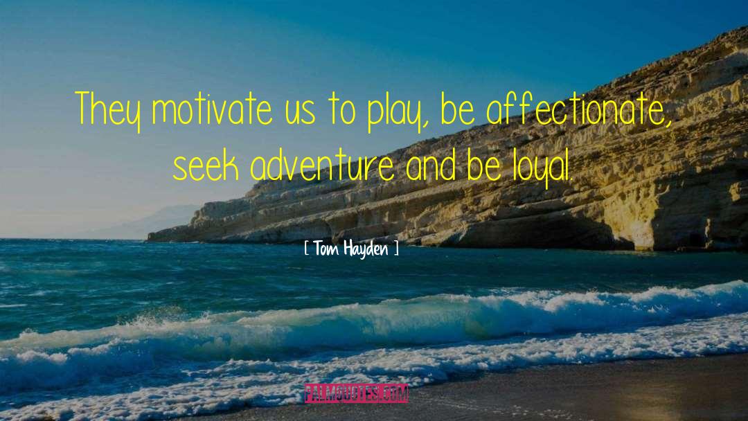 Tom Hayden Quotes: They motivate us to play,