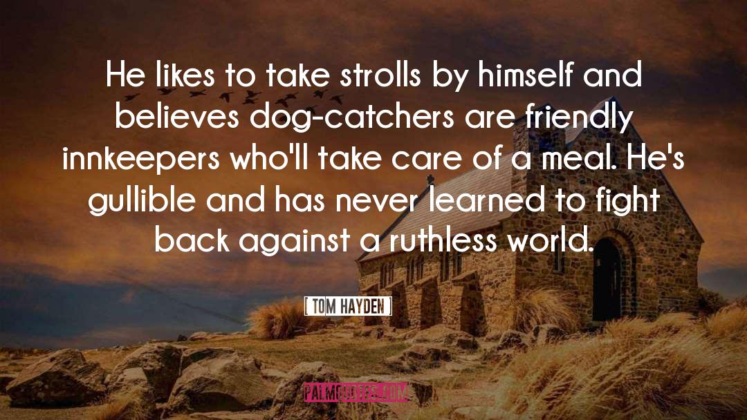 Tom Hayden Quotes: He likes to take strolls