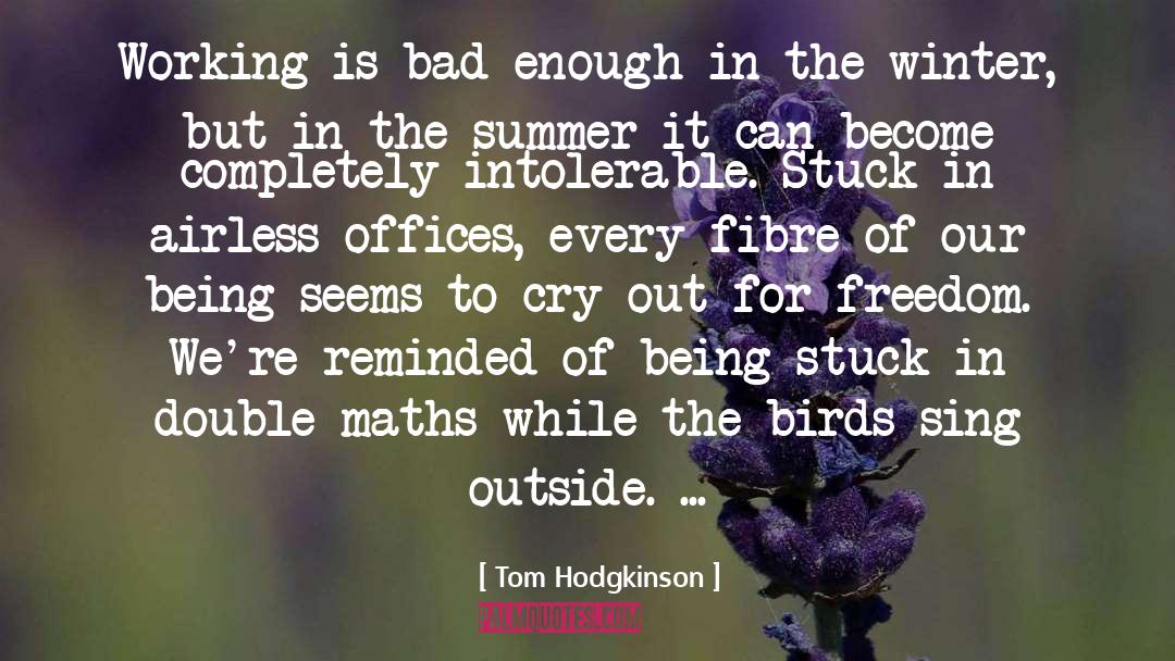 Tom Hodgkinson Quotes: Working is bad enough in