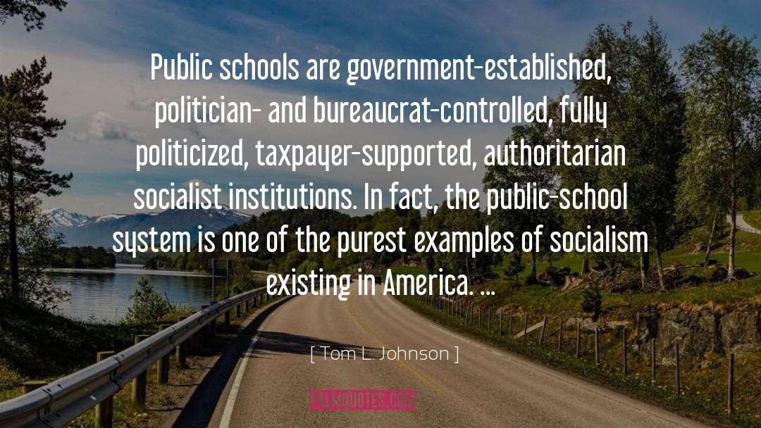 Tom L. Johnson Quotes: Public schools are government-established, politician-