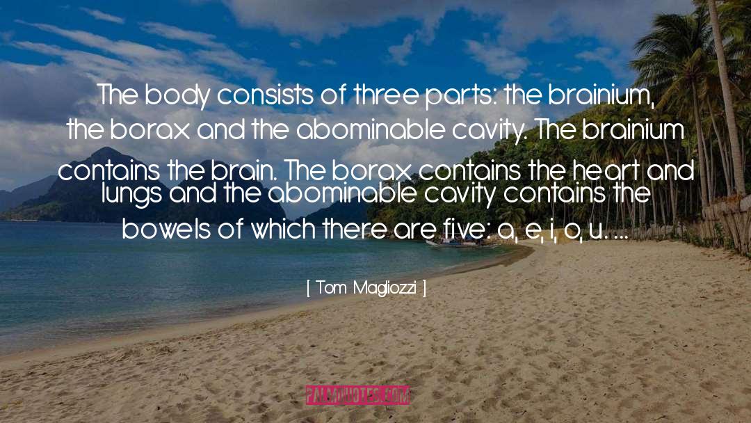 Tom Magliozzi Quotes: The body consists of three