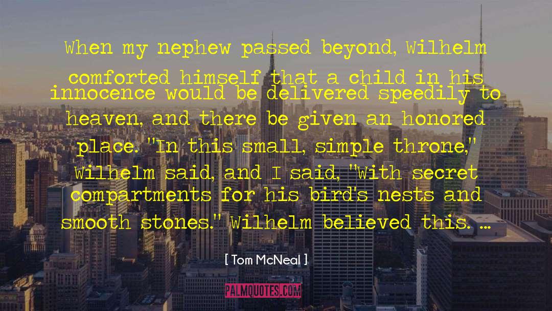 Tom McNeal Quotes: When my nephew passed beyond,