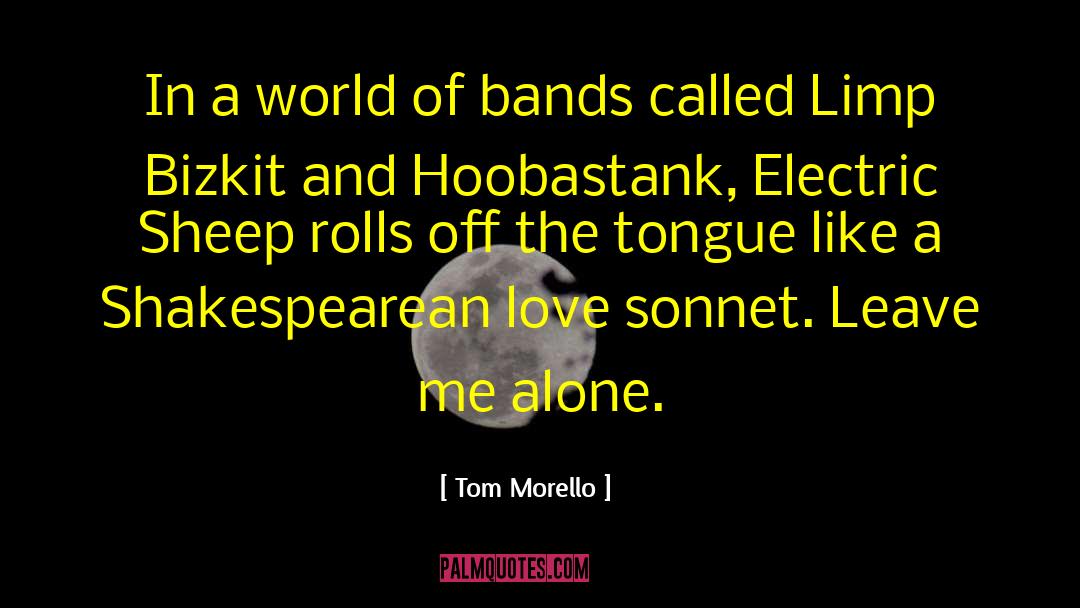 Tom Morello Quotes: In a world of bands