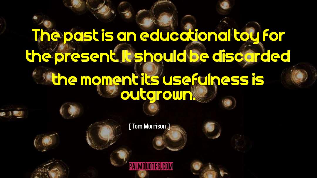 Tom Morrison Quotes: The past is an educational