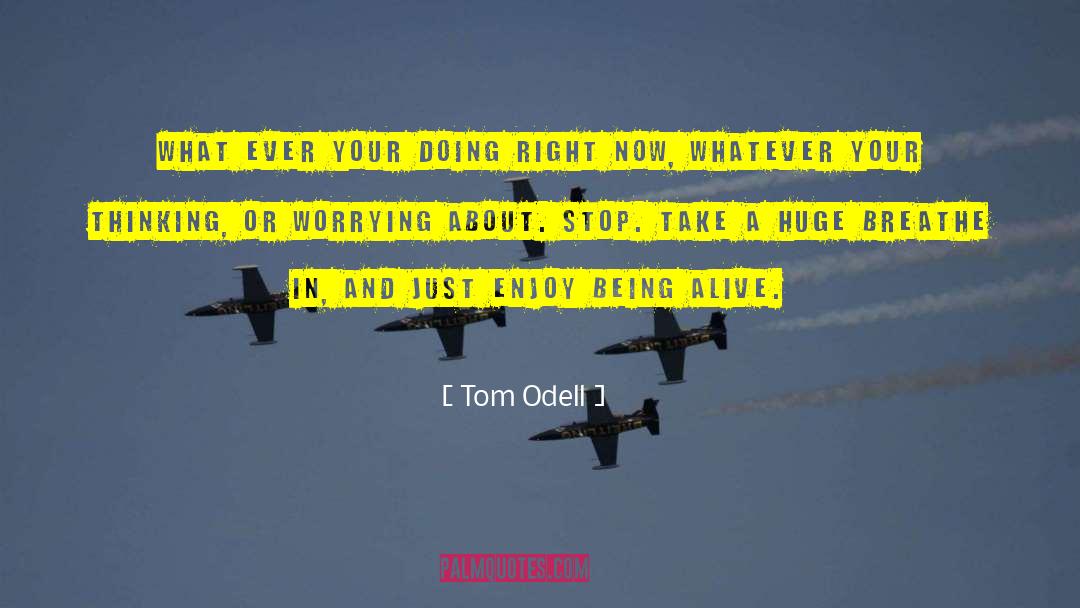 Tom Odell Quotes: What ever your doing right