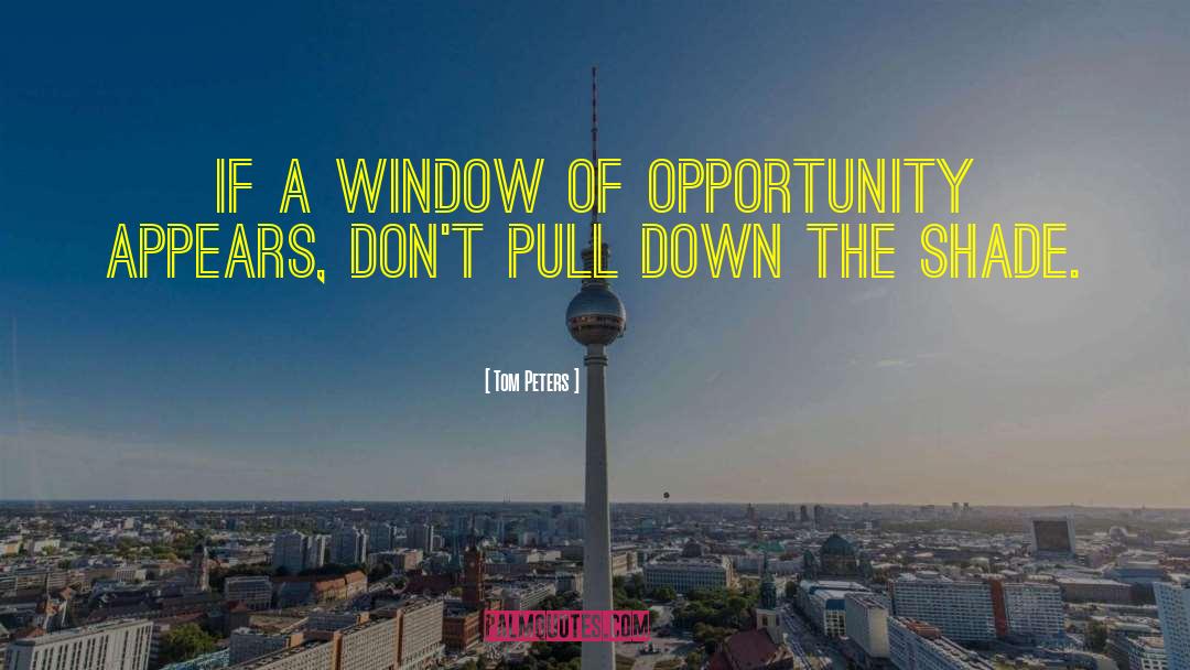 Tom Peters Quotes: If a window of opportunity