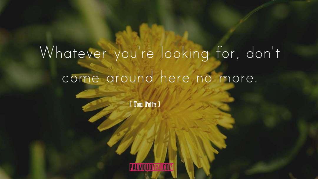Tom Petty Quotes: Whatever you're looking for, don't