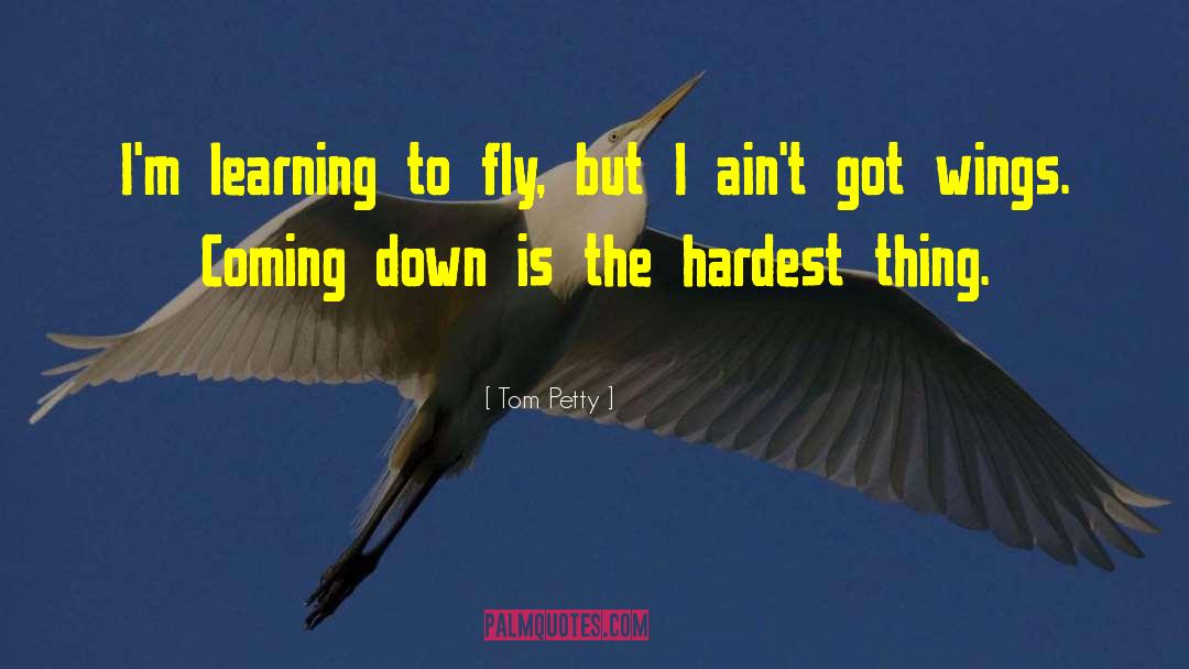 Tom Petty Quotes: I'm learning to fly, but