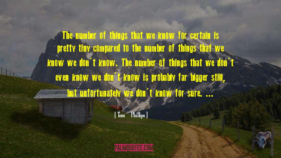 Tom     Phillips Quotes: The number of things that