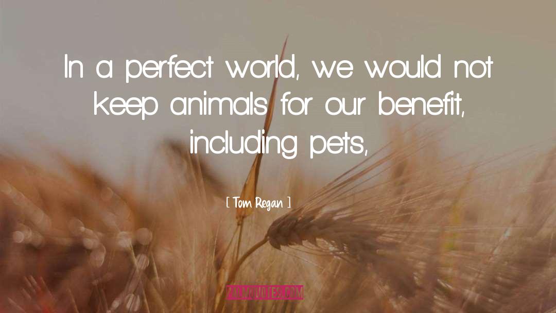 Tom Regan Quotes: In a perfect world, we