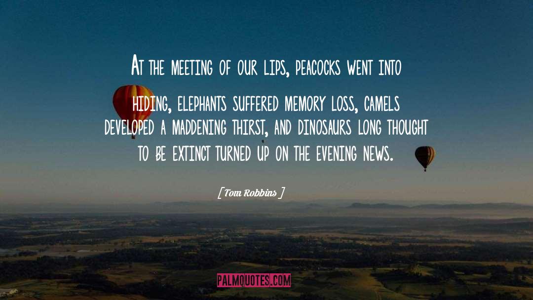 Tom Robbins Quotes: At the meeting of our