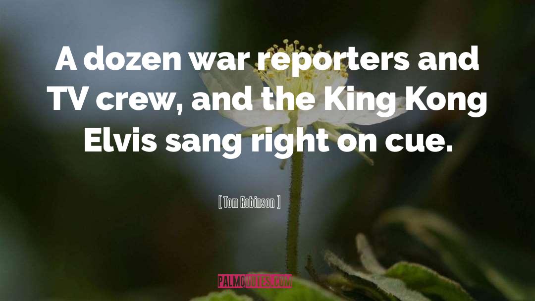 Tom Robinson Quotes: A dozen war reporters and