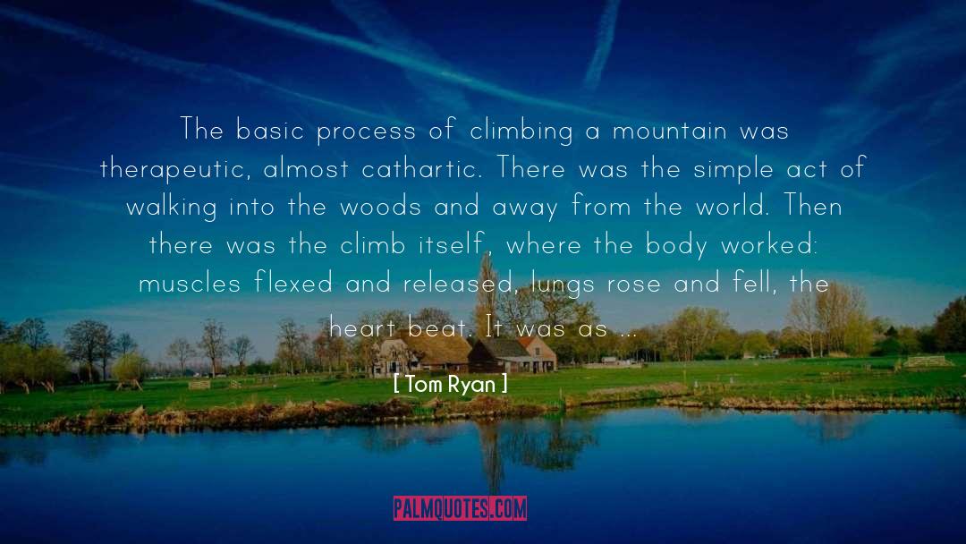 Tom Ryan Quotes: The basic process of climbing