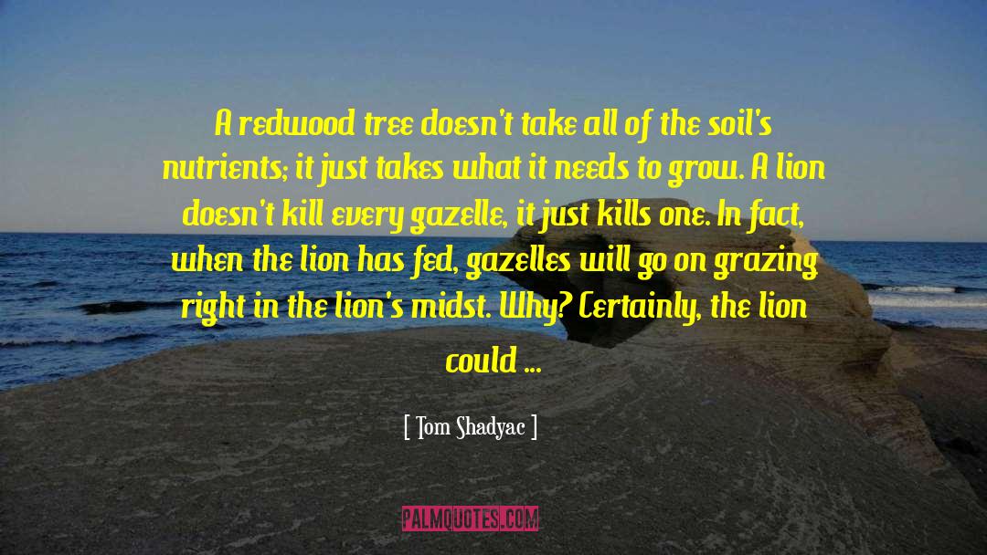 Tom Shadyac Quotes: A redwood tree doesn't take