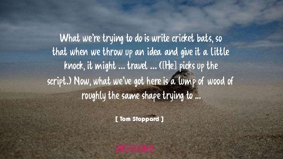 Tom Stoppard Quotes: What we're trying to do