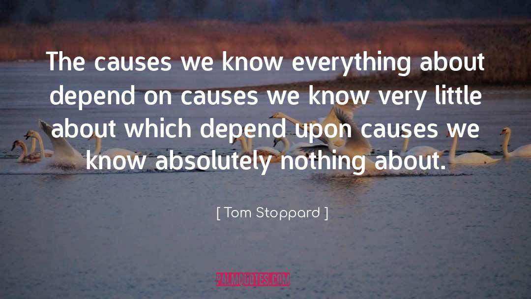 Tom Stoppard Quotes: The causes we know everything