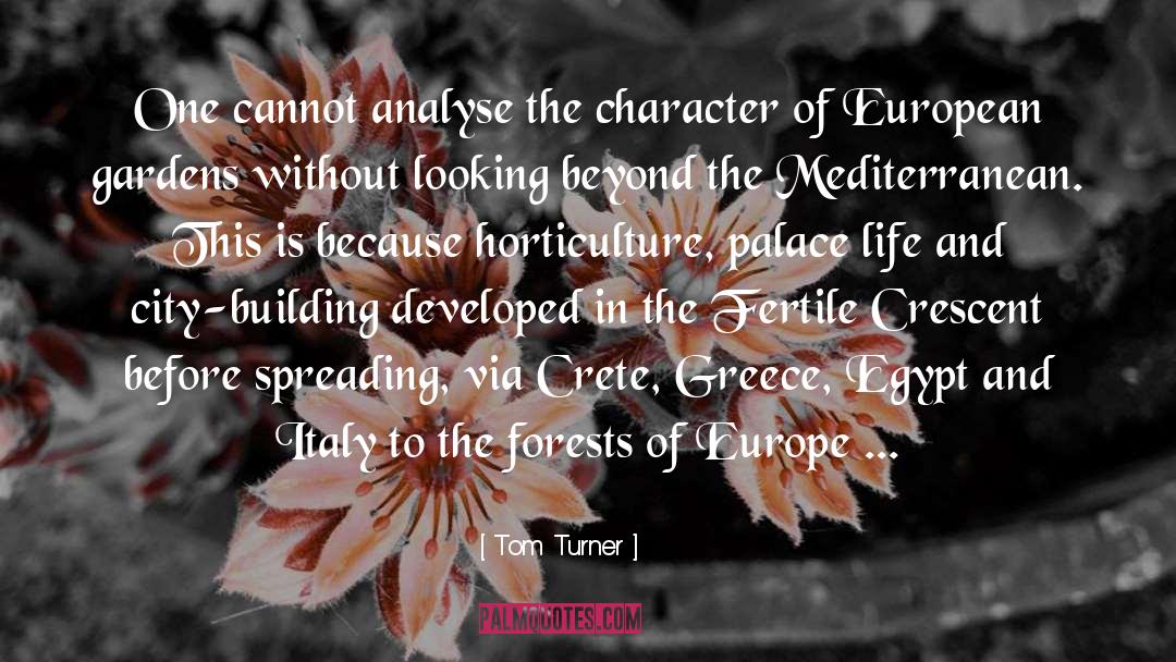 Tom Turner Quotes: One cannot analyse the character