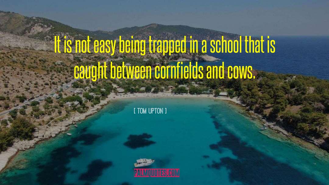 Tom Upton Quotes: It is not easy being
