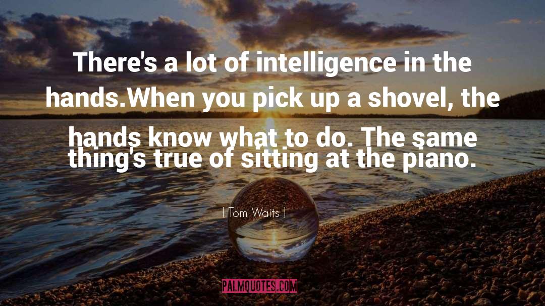 Tom Waits Quotes: There's a lot of intelligence