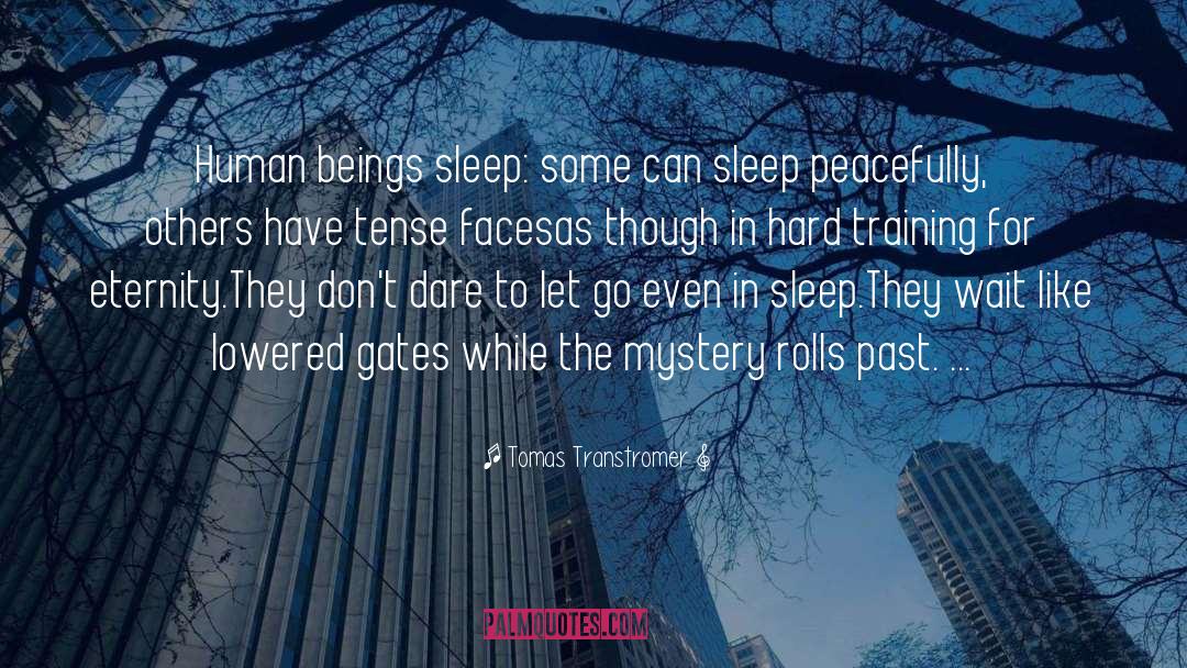 Tomas Transtromer Quotes: Human beings sleep: <br />some