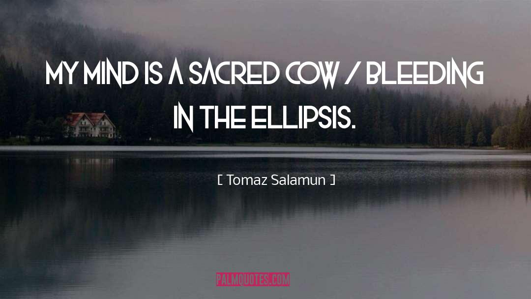 Tomaz Salamun Quotes: My mind is a sacred