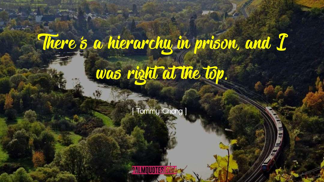 Tommy Chong Quotes: There's a hierarchy in prison,