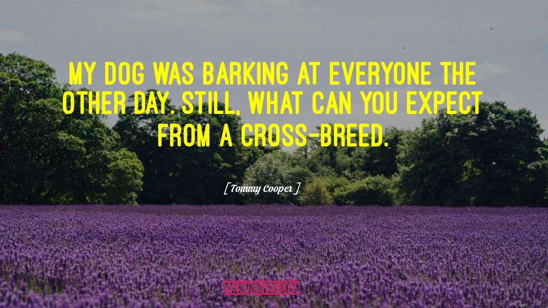 Tommy Cooper Quotes: My dog was barking at
