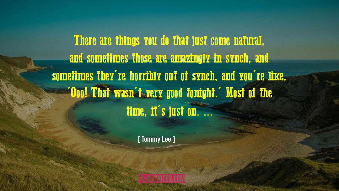 Tommy Lee Quotes: There are things you do