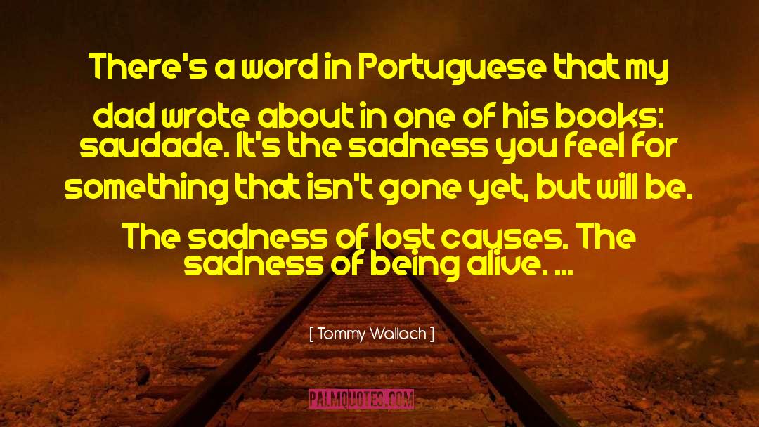 Tommy Wallach Quotes: There's a word in Portuguese