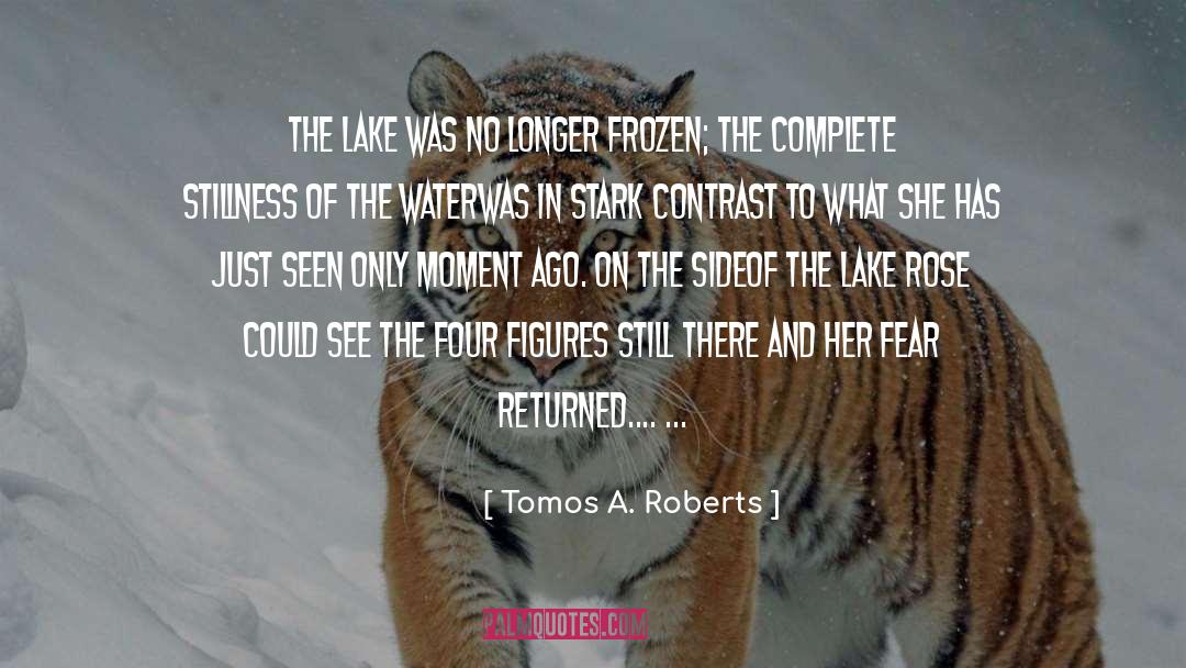Tomos A. Roberts Quotes: The lake was no longer