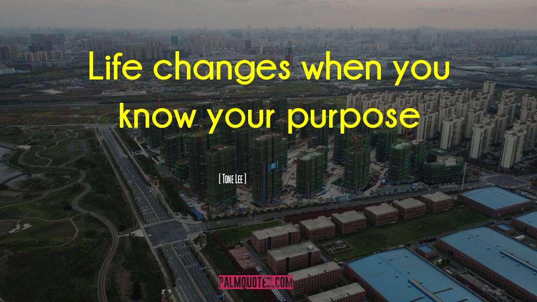 Tone Lee Quotes: Life changes when you know