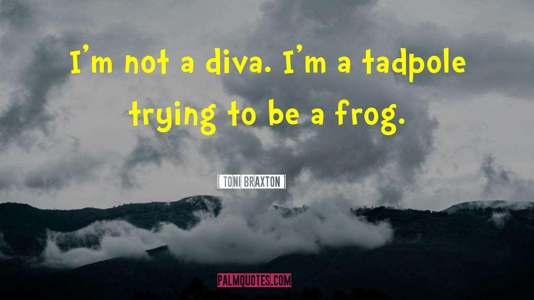 Toni Braxton Quotes: I'm not a diva. I'm
