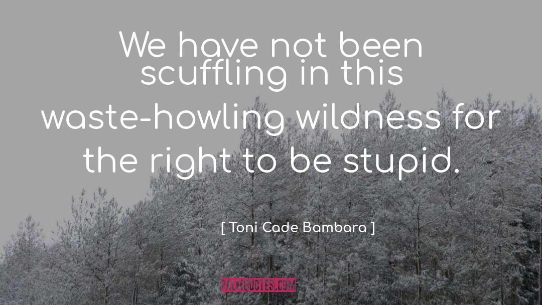 Toni Cade Bambara Quotes: We have not been scuffling