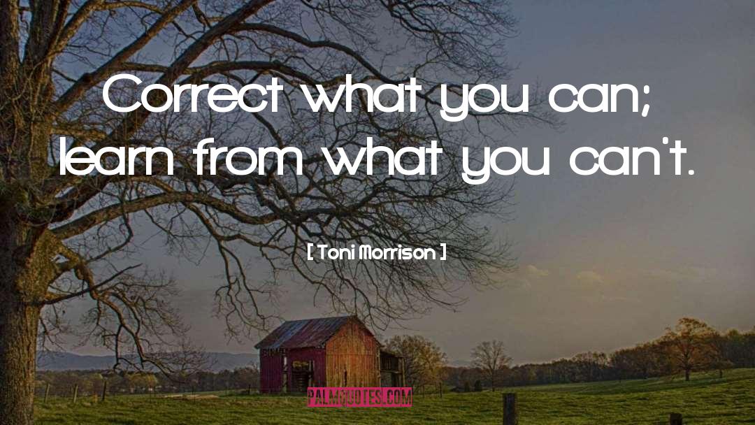 Toni Morrison Quotes: Correct what you can; learn