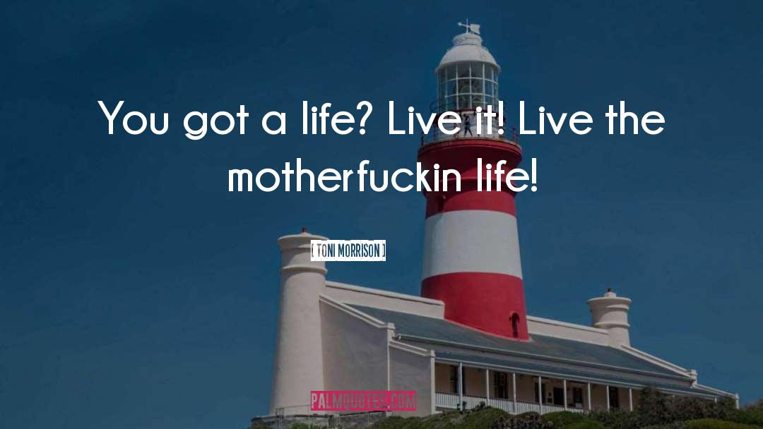 Toni Morrison Quotes: You got a life? Live