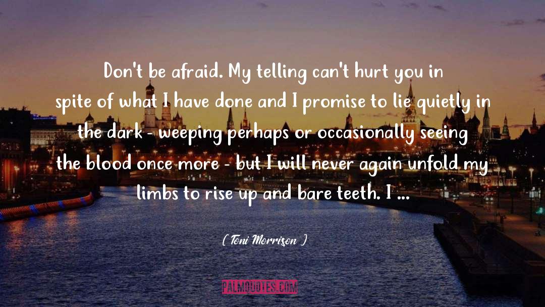 Toni Morrison Quotes: Don't be afraid. My telling