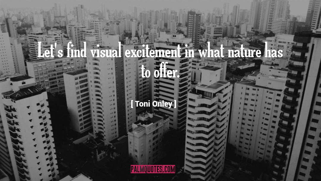 Toni Onley Quotes: Let's find visual excitement in