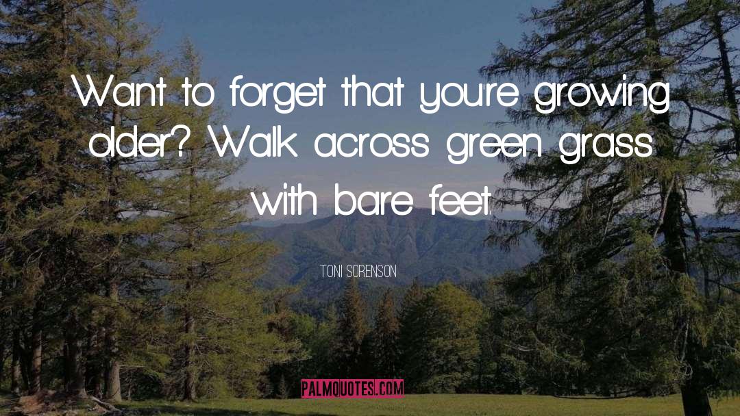 Toni Sorenson Quotes: Want to forget that you're