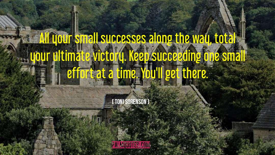 Toni Sorenson Quotes: All your small successes along