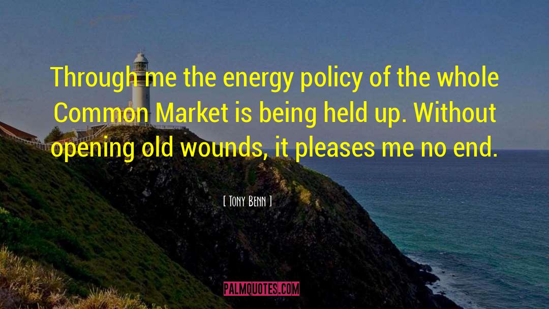 Tony Benn Quotes: Through me the energy policy