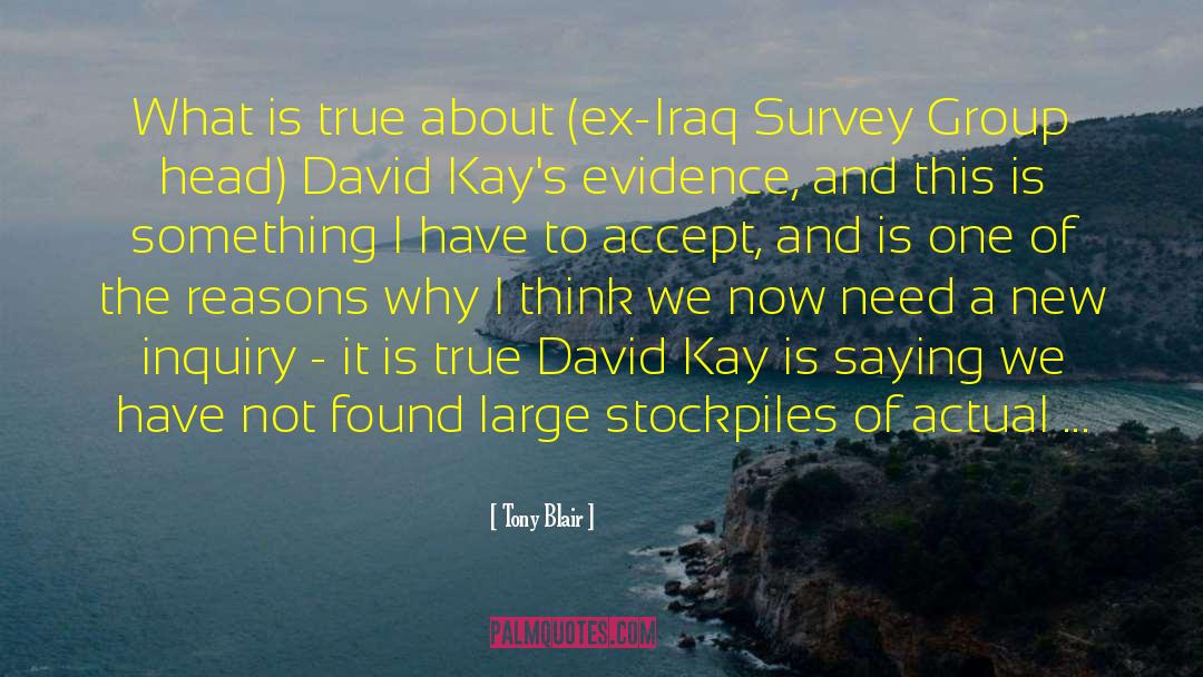 Tony Blair Quotes: What is true about (ex-Iraq