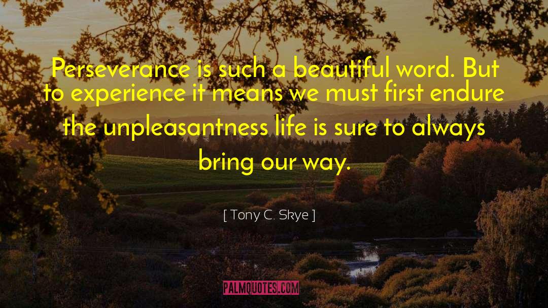 Tony C. Skye Quotes: Perseverance is such a beautiful