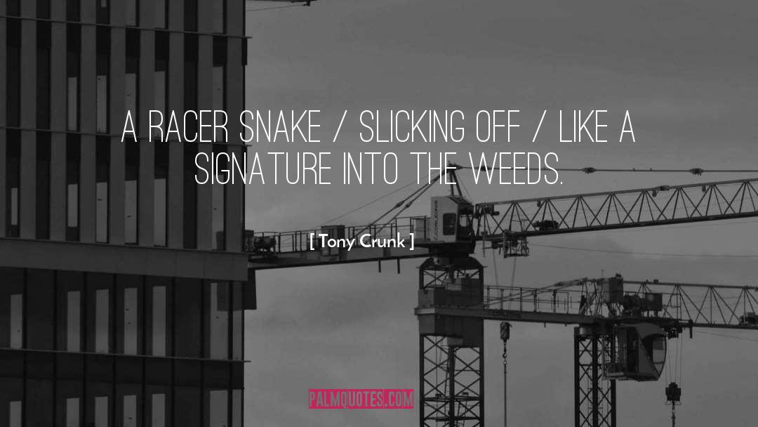 Tony Crunk Quotes: A racer snake / slicking