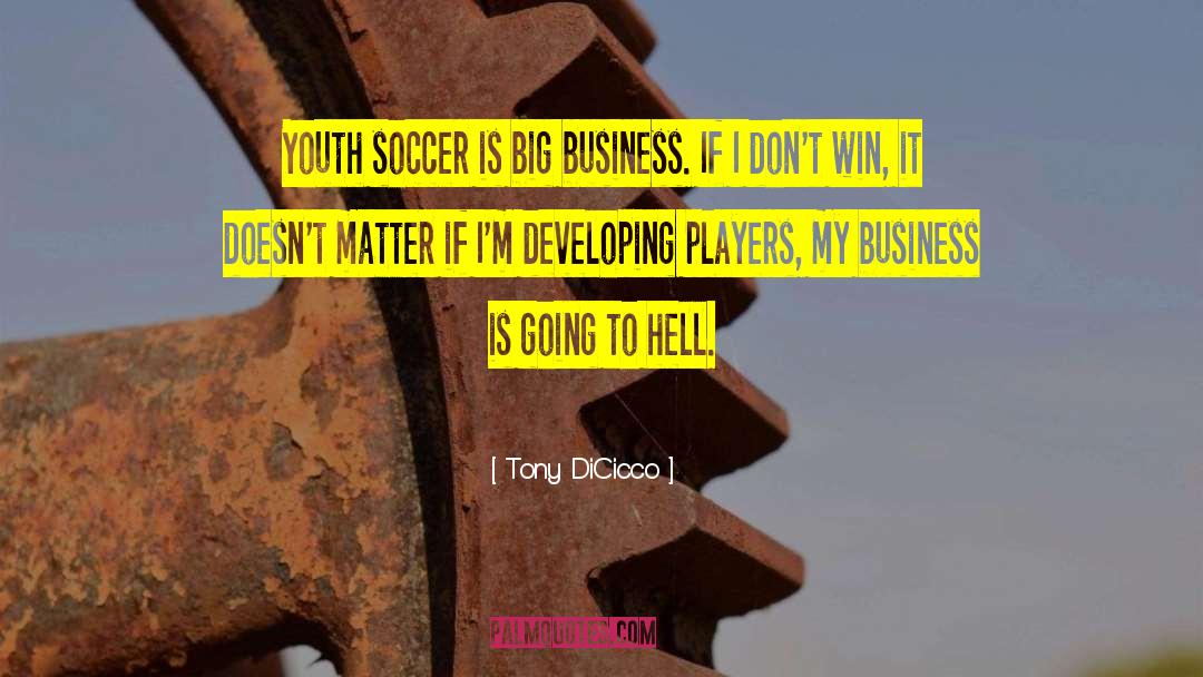 Tony DiCicco Quotes: Youth soccer is big business.