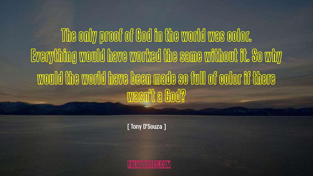 Tony D'Souza Quotes: The only proof of God