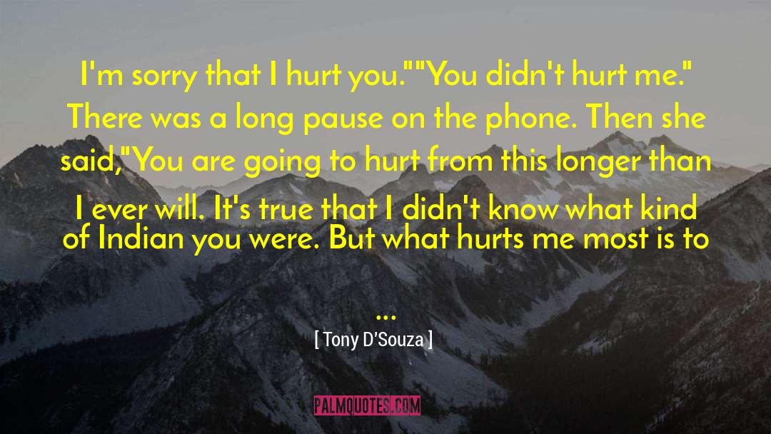 Tony D'Souza Quotes: I'm sorry that I hurt