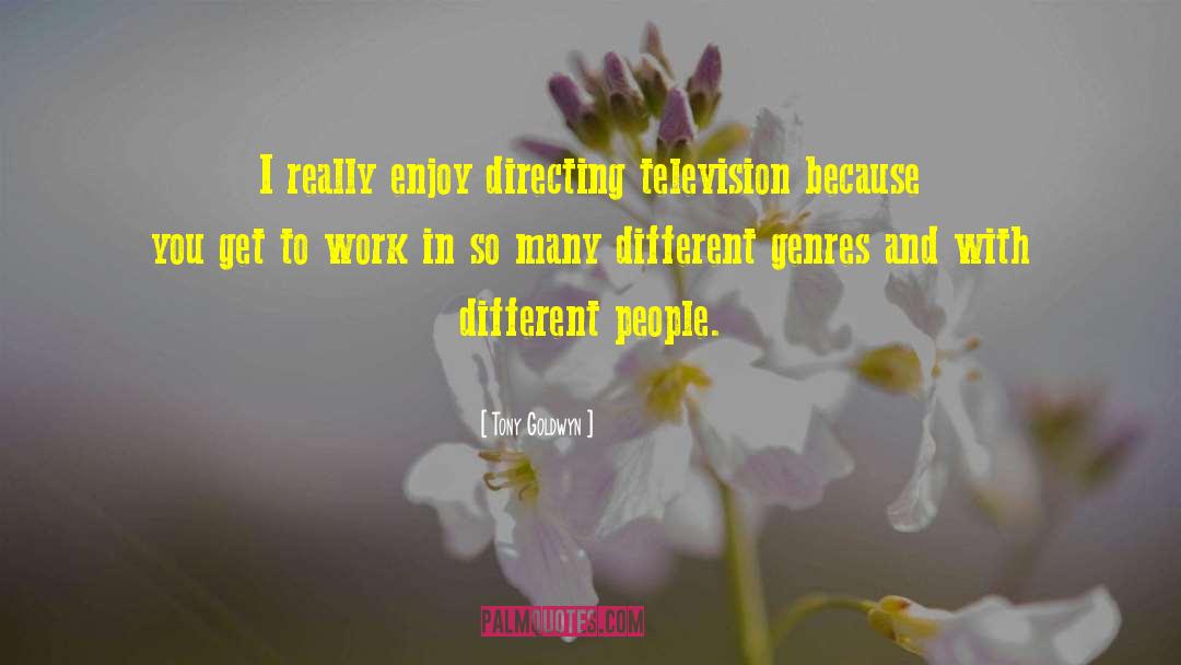 Tony Goldwyn Quotes: I really enjoy directing television