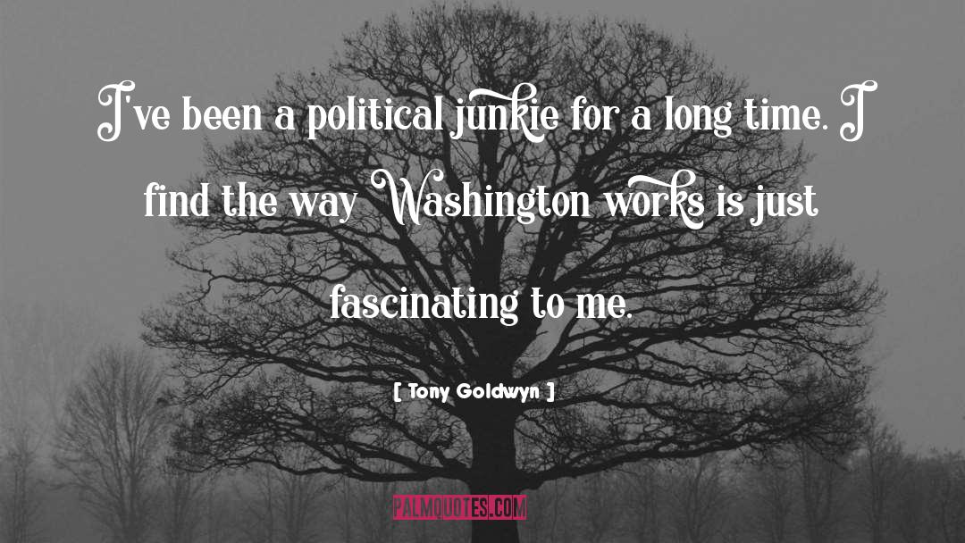 Tony Goldwyn Quotes: I've been a political junkie