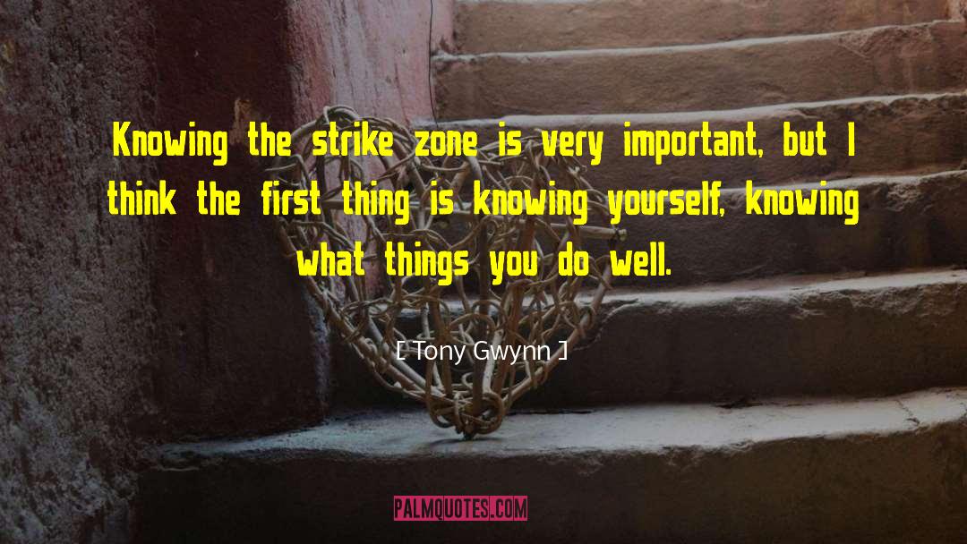 Tony Gwynn Quotes: Knowing the strike zone is