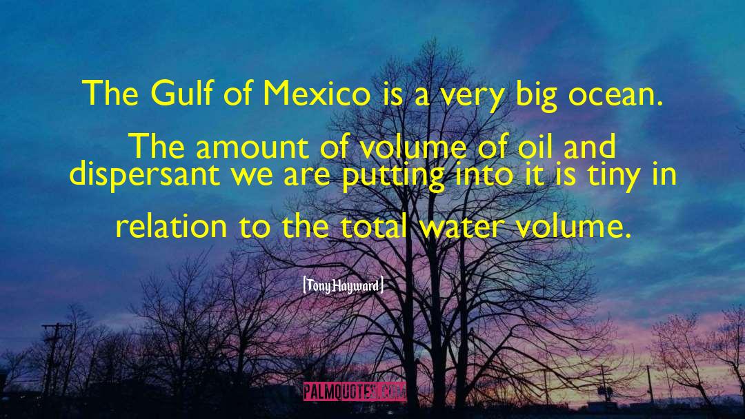 Tony Hayward Quotes: The Gulf of Mexico is
